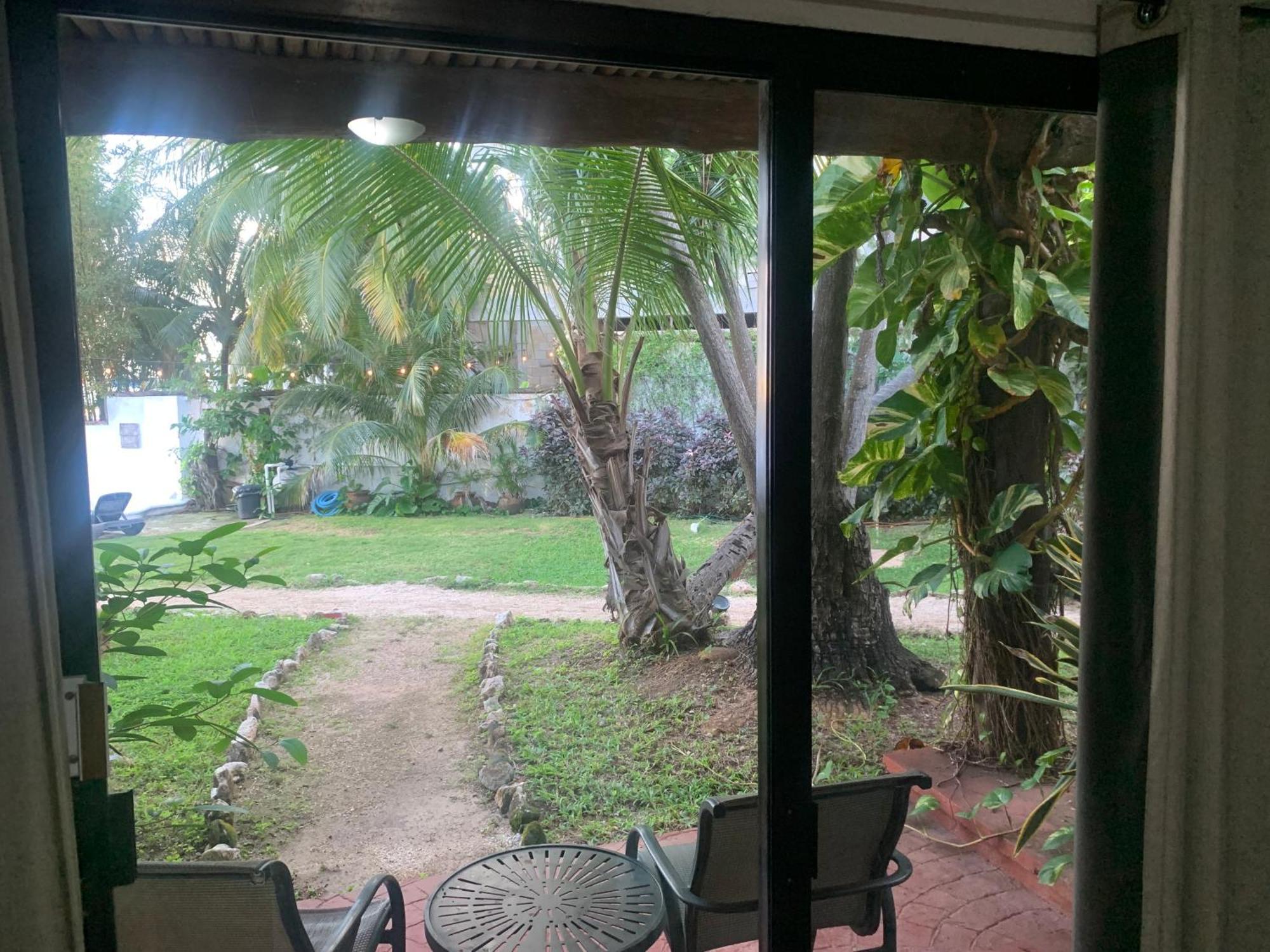 Casa Caribe Cancún Buitenkant foto View of the garden from the living room